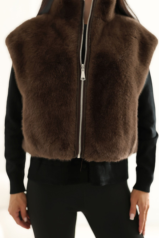 Brūna veste